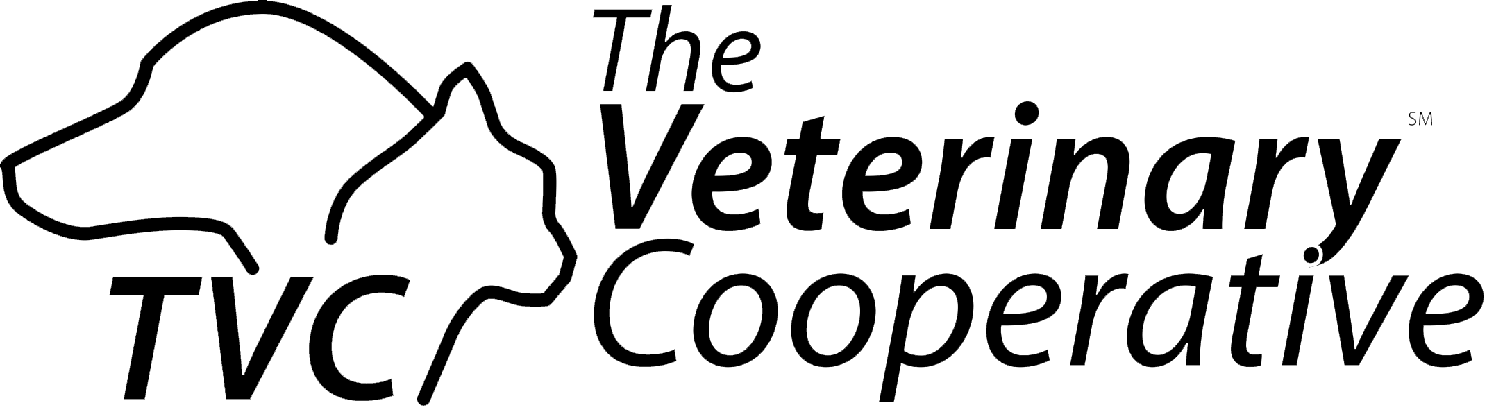 TVC-Black-Horizonta_2 Transparent (002)